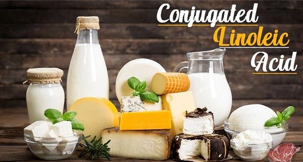 Conjugated Linoleic Acid