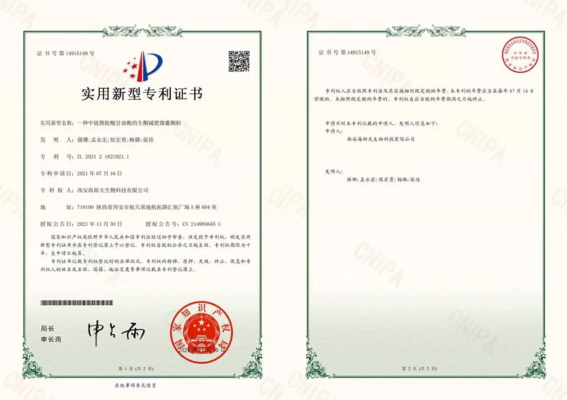Patent Certificate -1