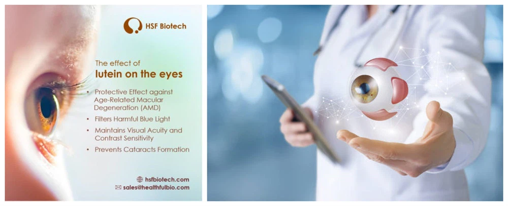 Lutein & Lutein Ester Lutein & Lutein Ester