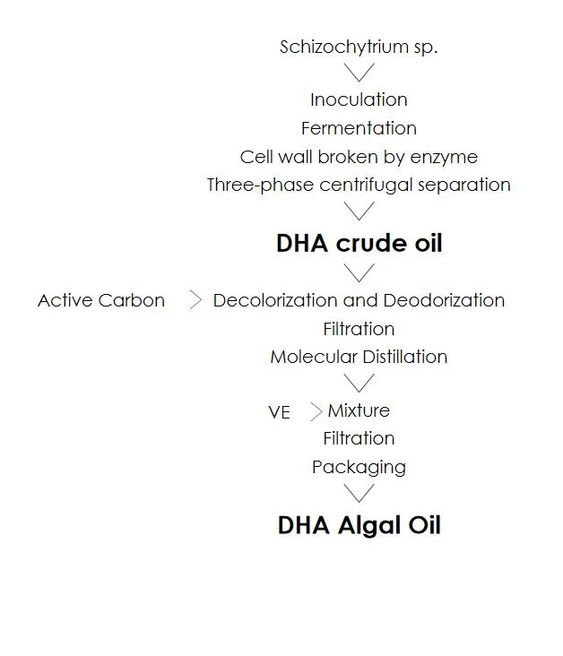 oil flow chart oil flow chart