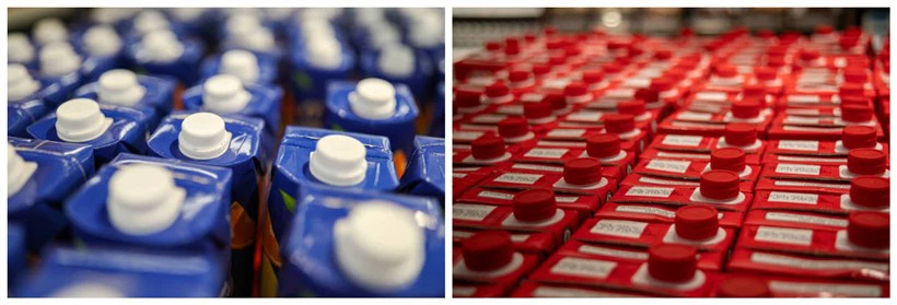 plant sterol esters dairy products plant sterol esters dairy products