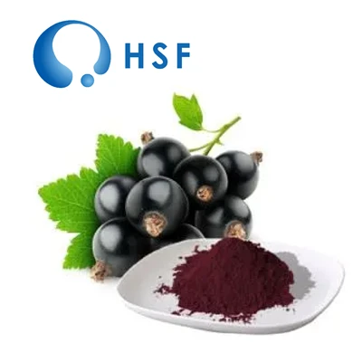 Poudre d'extrait de cassis