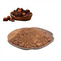 Poudre d'extrait de champignon Chaga