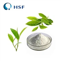 Poudre pure de L-théanine