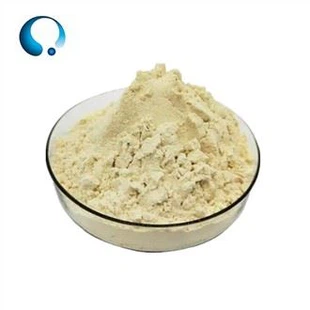 Poudre d'isolat de protéine de soja