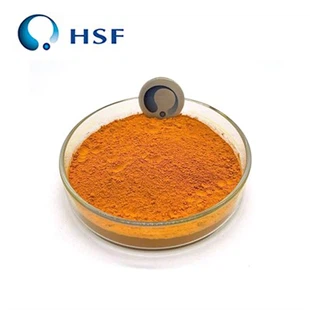 Poudre de curcuma fermenté