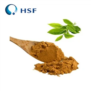 Poudre de polyphénols de thé